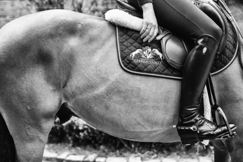Stadnina koni Ciekocinko – najlepsze miejsce na jazdę konną i treningi