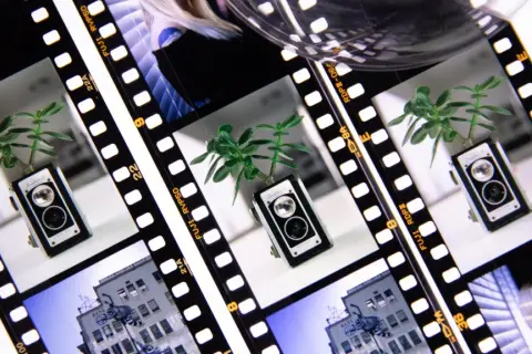 Film strips showcase a vintage camera with a plant, a building, and a woman's face, hinting at the classic ektachrome vs velvia debate.