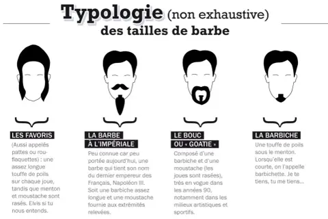 Typologie des tailles de barbe : le favori, la barbe à l'impériale, le bouc ou "goatie", et la barbiche. Chaque nom de barbe est illustré.