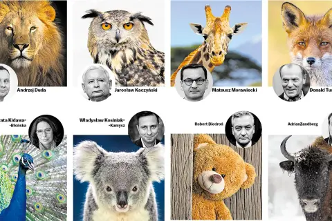 Najdziwniejsze imiona jakie polscy celebryci nadali swoim zwierzętom: lew, sowa, żyrafa, lis, paw, koala, miś, żubr.