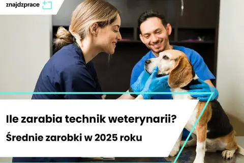 Weterynarz z gabinetem: Realne zarobki netto i koszty w Polsce