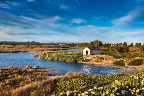 Ein kleines weißes Haus am Wasser im Ria Formosa Nationalpark, umgeben von üppiger Vegetation und blühenden Pflanzen.