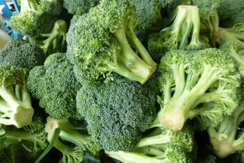 Cuándo plantar brócoli para evitar errores comunes en el cultivo
