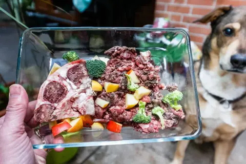 Schüssel mit rohem Fleisch, Brokkoli und Apfelstücken für ein Hundefutter-Rezept. Ein Hund wartet gespannt.
