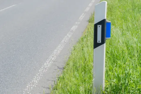 Straßenrandpfosten mit blauen Reflektoren, der die Fahrbahn und das üppige Gras daneben markiert.