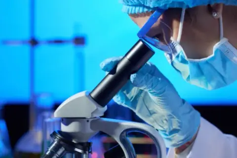 Jakie studia po rozszerzonej biologii? Odkryj najlepsze kierunki dla siebie
