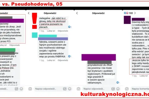 Dyskusja o hodowlach psów, w tym o tych nieuznanych przez FCI, które często działają jak fabryki, a ich działalność może być nielegalna.