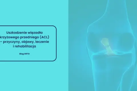 Anatomia kolana z widocznym uszkodzonym więzadłem krzyżowym przednim (ACL). Tekst informuje o przyczynach, objawach, leczeniu i rehabilitacji.