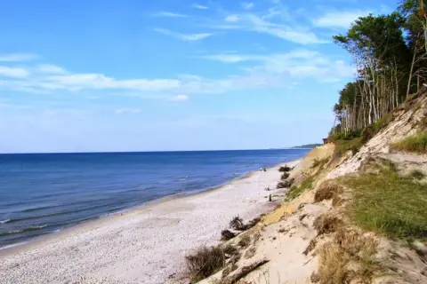 Piękna plaża i las na klifie, idealne orzechowo atrakcje dla miłośników przyrody.