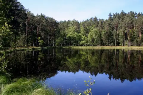 Spokojne jezioro z czarną wodą odbija gęsty las.