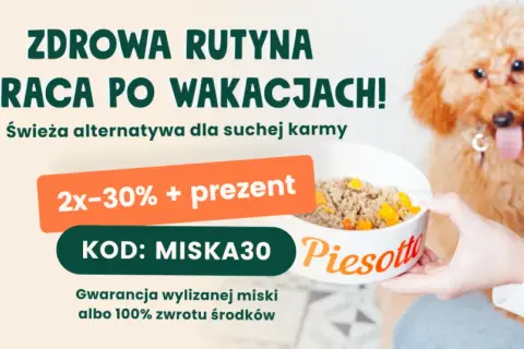 Czym karmić szczeniaka? Domowe jedzenie pełny poradnik