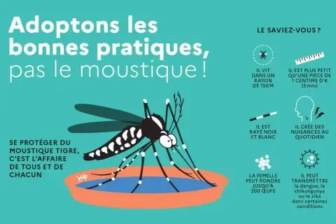 Illustration d'un moustique tigre. Pour tuer larves de moustiques javel, il faut adopter les bonnes pratiques.