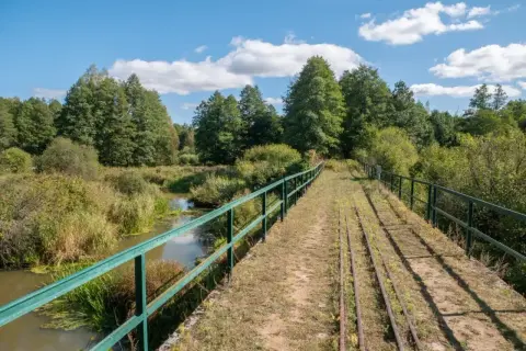 Most starych torów kolejowych nad rzeką w Białowieskim Parku Narodowym. Ciekawostki przyrodnicze i historyczne tego miejsca zachwycają.