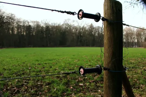 Elektryczny pastuch na drewnianym słupku, z dwoma izolatorami i linkami. Czy pastuch jest legalny? Pytanie o bezpieczeństwo i zgodność z prawem.