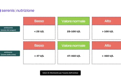 Valori di riferimento per amilasemia e amilasuria. Un valore basso di amilasi pancreatica nel sangue (< 28 U/L) può indicare problemi.