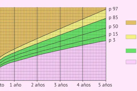 Gráfica de peso por edad para un bebé, mostrando percentiles. Las zonas indican bajo peso, peso normal, riesgo de sobrepeso y sobrepeso.