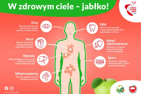 Czy jabłko tuczy? Obalamy mity i wspieramy odchudzanie!
