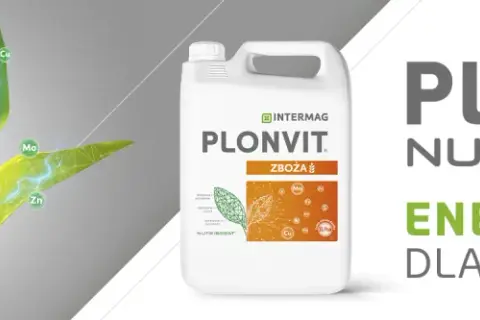Kiedy stosować plonvit zboża? Sprawdź najlepsze terminy aplikacji