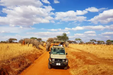 Niesamowite **Tanzania wakacje**! Safari jeepem wśród słoni na tle błękitnego nieba z chmurami.