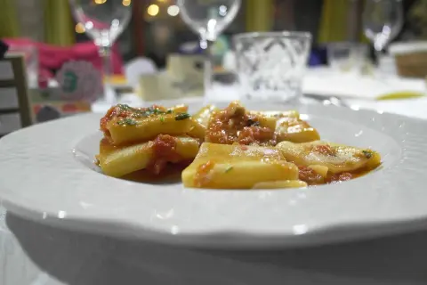 Paccheri co to? Duże, rurkowate makarony w sosie pomidorowym z ziołami, podane na białym talerzu.