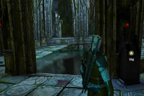 Geralt stoi przed tronem w zrujnowanej komnacie, rozwiązując zagadkę o dima. Woda zalewa podłogę, a roślinność oplata kamienne kolumny.
