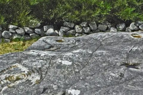 Petroglifos galicia: grabados circulares y espirales en roca gris, rodeados de hierba y un muro de piedra.
