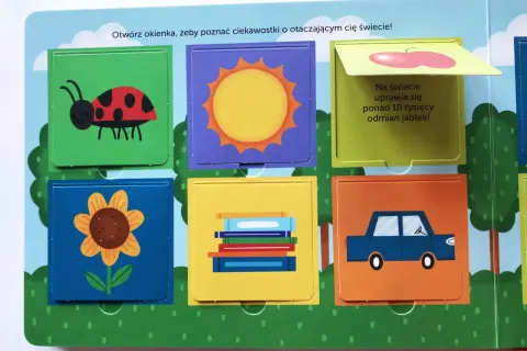 Kolorowe okienka z obrazkami (biedronka, słońce, jabłko, kwiat, książki, auto) to pomoce dydaktyczne dla dzieci niesłyszących.