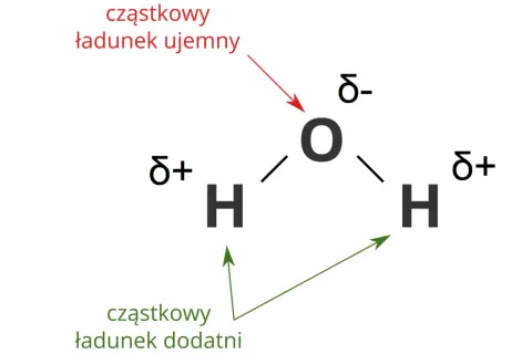 Ile atomów ma cząsteczka wody i dlaczego to ważne w chemii?
