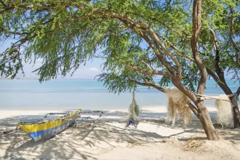 Łódź rybacka i sieci pod drzewem na plaży. Filipiny ciekawostki: takie widoki czekają na Ciebie!