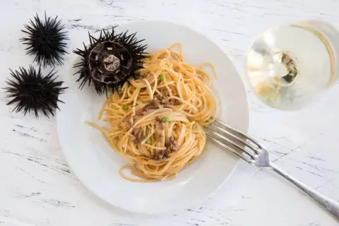 Seeigel-Spaghetti auf einem Teller, daneben rohe Seeigel. Man kann Seeigel essen und sie sind eine Delikatesse.