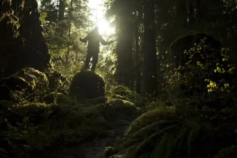 Mathieu Le Lay, silhouette d'un homme bras ouverts sur un rocher moussus, baigné par la lumière du soleil filtrant à travers la forêt dense.