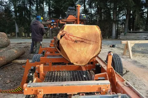 Pracownik w ochronnym stroju przygotowuje się do cięcia drewna na deski na mobilnej pile.