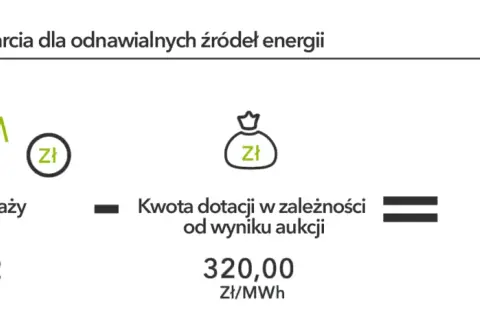 Aukcje OZE: Jak działają i jak wygrać? Przewodnik eksperta.