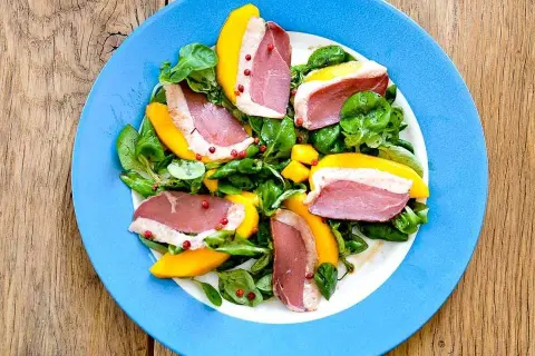 Salade de magret de canard : maîtrisez les recettes & astuces d'expert