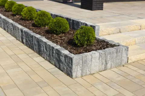 Starannie wykonane układanie palisady betonowej tworzy elegancką rabatę z bukszpanami na tle jasnej kostki brukowej.