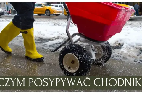 Co zamiast soli na chodnik? Ekologiczne alternatywy, które działają