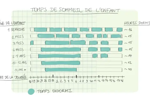 Diagrammet visar hur mycket ska en 3-åring sova, cirka 15 timmar. Sömnbehovet minskar med åldern.