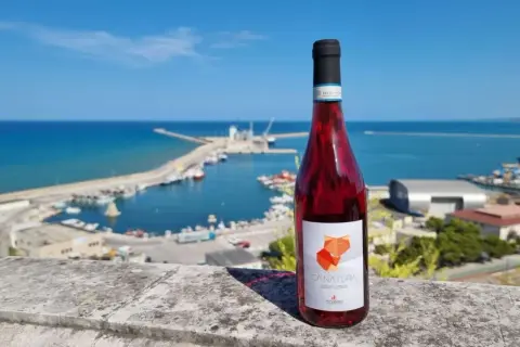Bottiglia di Cerasuolo d'Abruzzo con etichetta "Canatura" su sfondo di un porto con mare blu e cielo limpido.
