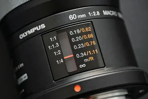 Obiektyw makro co to? Poznaj jego zalety i zastosowania w fotografii