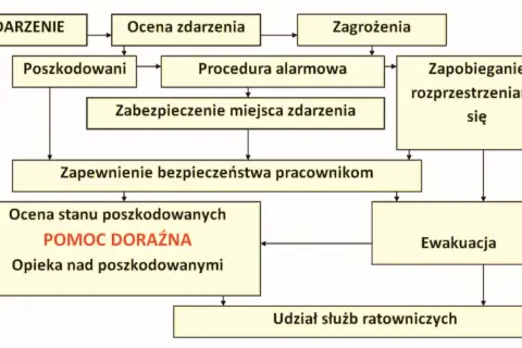 Kto może udzielić pierwszej pomocy? Twój obowiązek i ochrona prawna