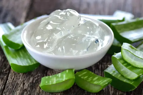 Gel de aloe vera en un cuenco blanco rodeado de trozos de la planta. Descubre cómo usar aloe vera planta como usar para tu piel.