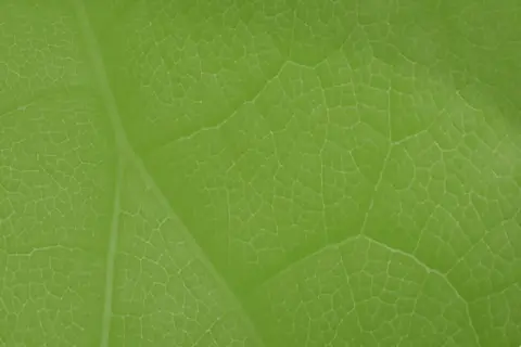 Kiedy powstał zielony ład i jak wpłynął na walkę ze zmianami klimatu