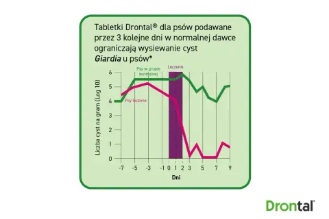Wykres porównujący liczbę cyst Giardia u psów leczonych i kontrolnych. Leczenie Drontalem znacząco ogranicza wysiew cyst.