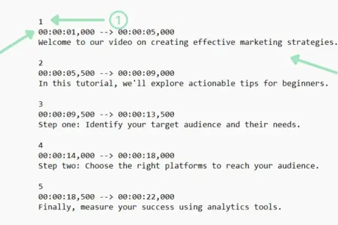 An SRT file displays timed text for videos. This example shows timestamps and dialogue for a marketing tutorial, covering audience identification, platform selection, and success measurement.