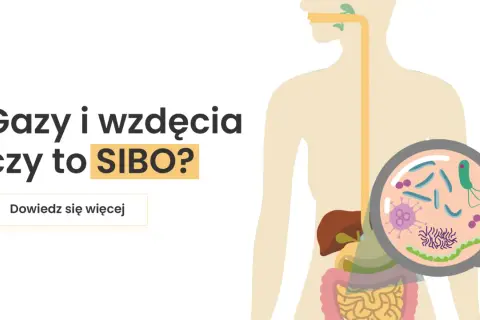 Gazy i wzdęcia mogą być objawem SIBO. Ilustracja przedstawia układ pokarmowy i powiększone bakterie.