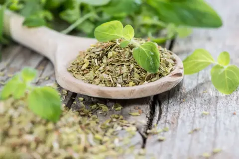 Ein Holzlöffel voller getrocknetem Oregano, daneben frische Blätter. Perfekt für die Küche, ob frisch oder getrocknet, Oregano verfeinert jedes Gericht.