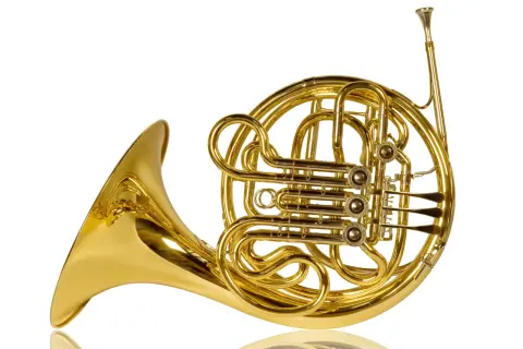 Glänzendes goldenes Waldhorn, ein klassisches Blechblasinstrument, das verschiedene Arten von Hörnern repräsentiert.