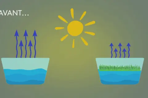 Le soleil stimule le calcul évaporation de l'eau dans deux récipients : l'un avec de l'eau pure, l'autre avec de l'herbe.