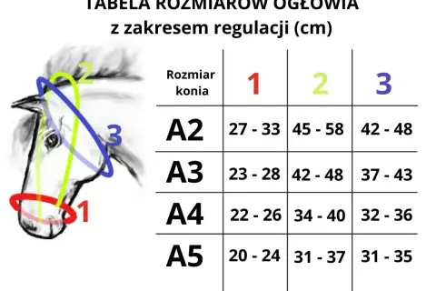 Tabela rozmiarów kantarów dla koni z zakresem regulacji w cm. Ilustracja pokazuje głowę konia z zaznaczonymi obszarami pomiaru.