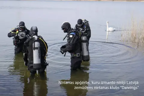 Nurkowie w sprzęcie, który przypomina materiał scuba. Co to jest? Łabędź pływa obok.